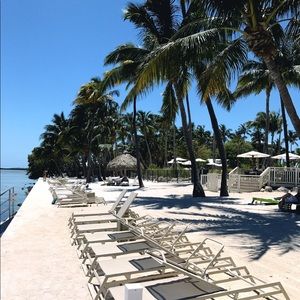 Meet your Posher, Domineque